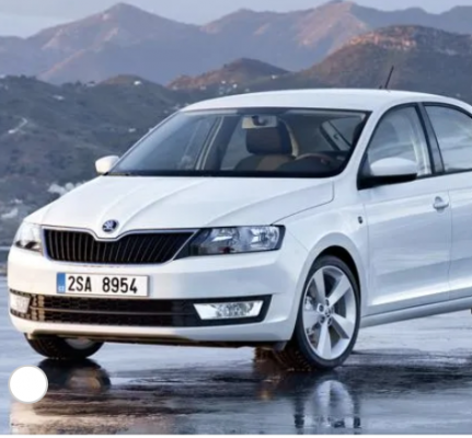 Ремонт Ремонт Двигателя Skoda Rapid 2012-2017